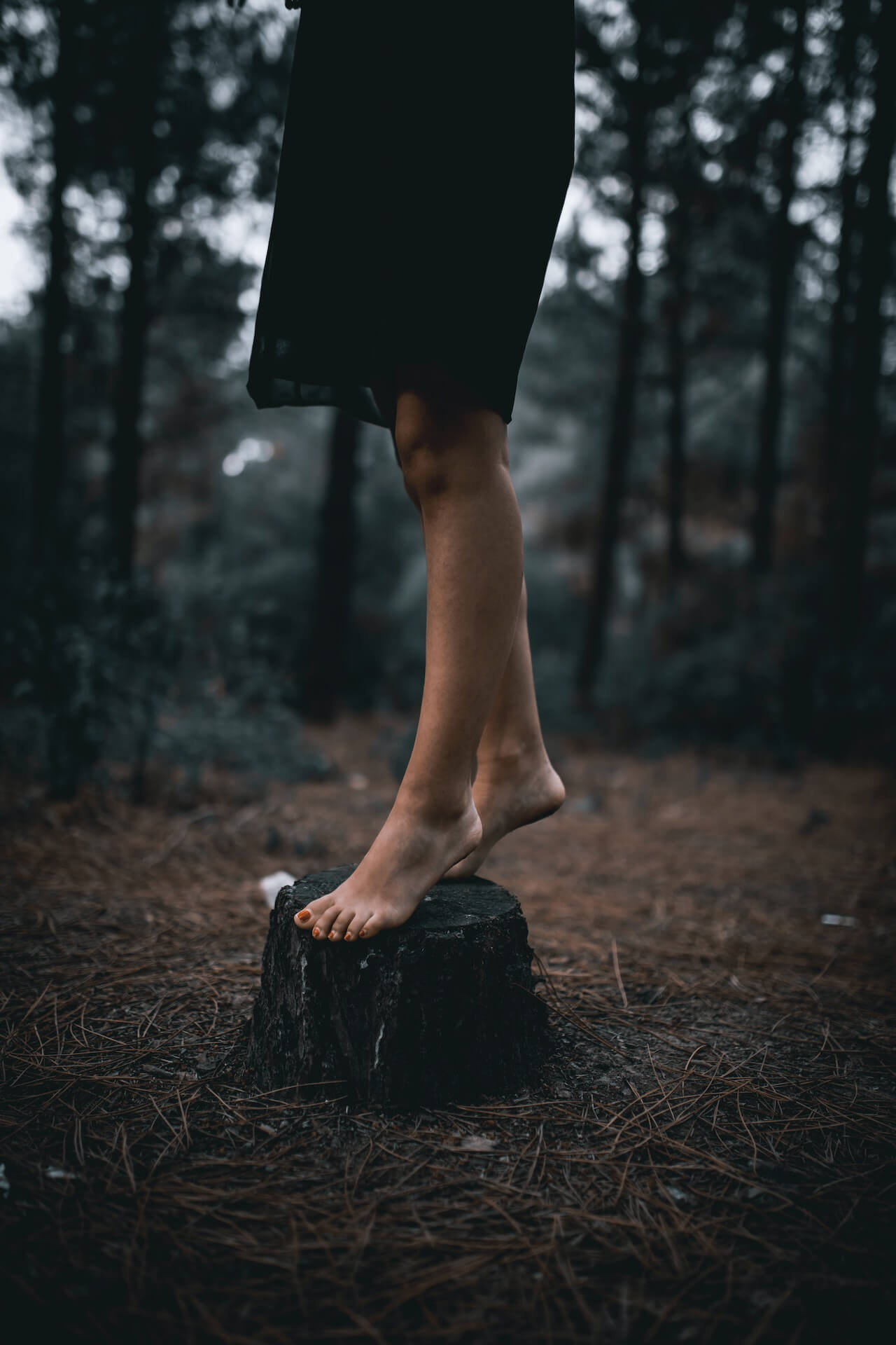 pexels-erkam-hayta-6461030 (1) pexels-erkam-hayta-6461030 (1)